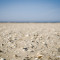 Crushed Rømø Beach Strand Shell MuschelSand Sea Meer