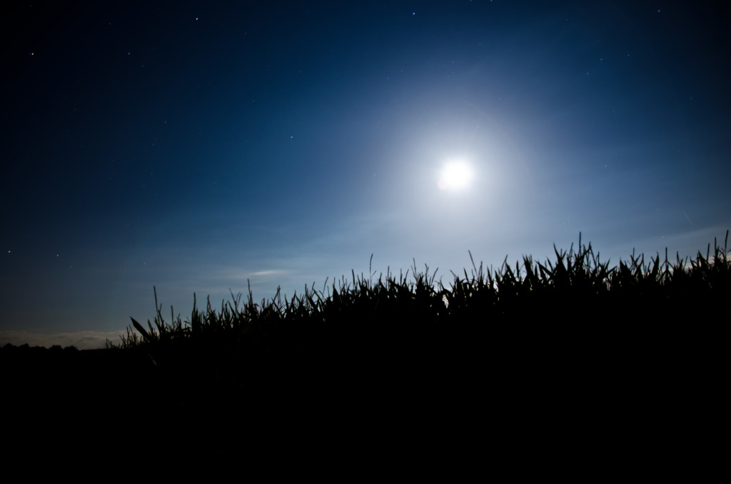 Moonlight Night Nacht Sky Himmel Field Feld