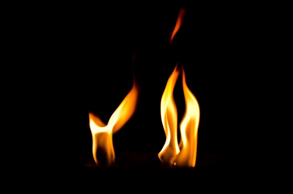 Shine a Light Celebration Fest Fire Feuer NIght Nacht Macro Makro