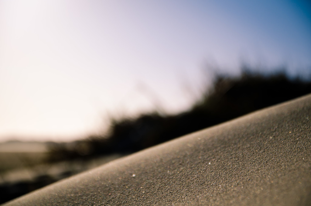 Wind shaped Rømø Beach Strand Sand